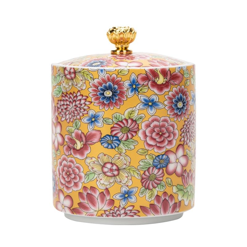 XYNSNDB Słoik cukru Ceramiczne Małe puszki po herbacie Puste puszki Zamknięte puszki Puszki po herbacie Puszki do przechowywania Puszki porcelanowe Puszki zielonej herbaty do użytku domowego Puszki po