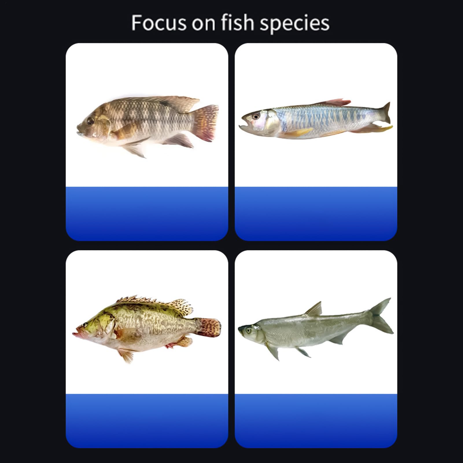 Popper pour Black Bass Pêche à la Mouche | 10 Mouches Poppers Sèches Leurres pour Black Bass,Petits Leurres Hameçons Sèches et Noyés pour Crapets Truites Saumons Achigans Perches Poissons Appâts Pêche