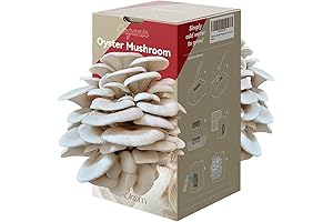 Forest Origins Organic Pink Oyster Mushroom Growing Kit - Double-Sided for Extended Harvest