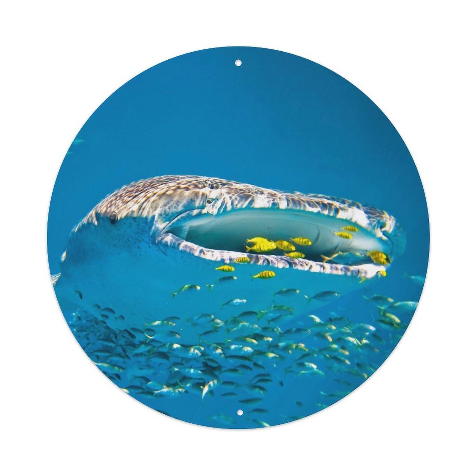 Whale Shark Ocean Wildlife Marine Life Predator Metal Tin Sign