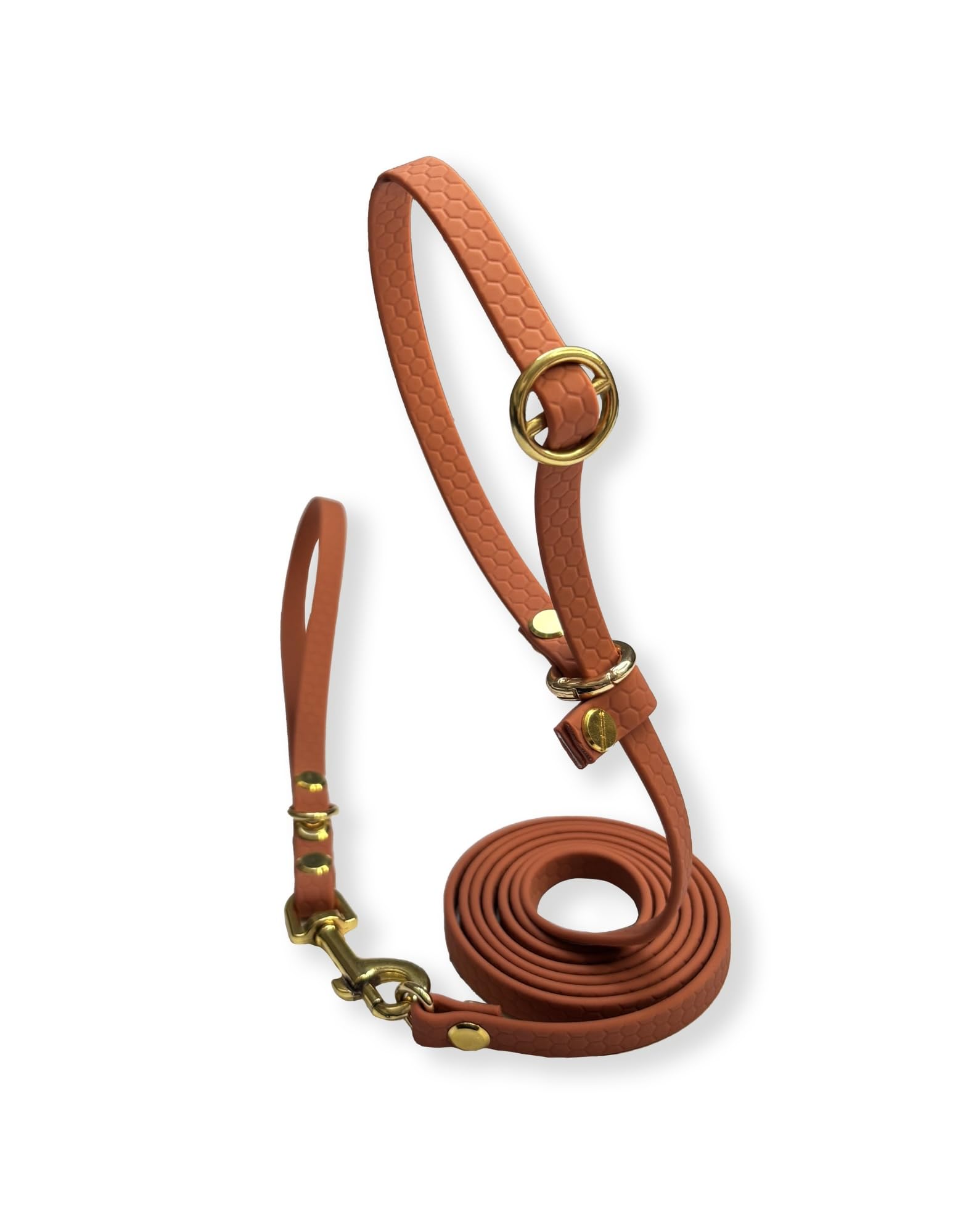 Laisse lasso XS pour petit chien brique pour stopper les tractions sans collier