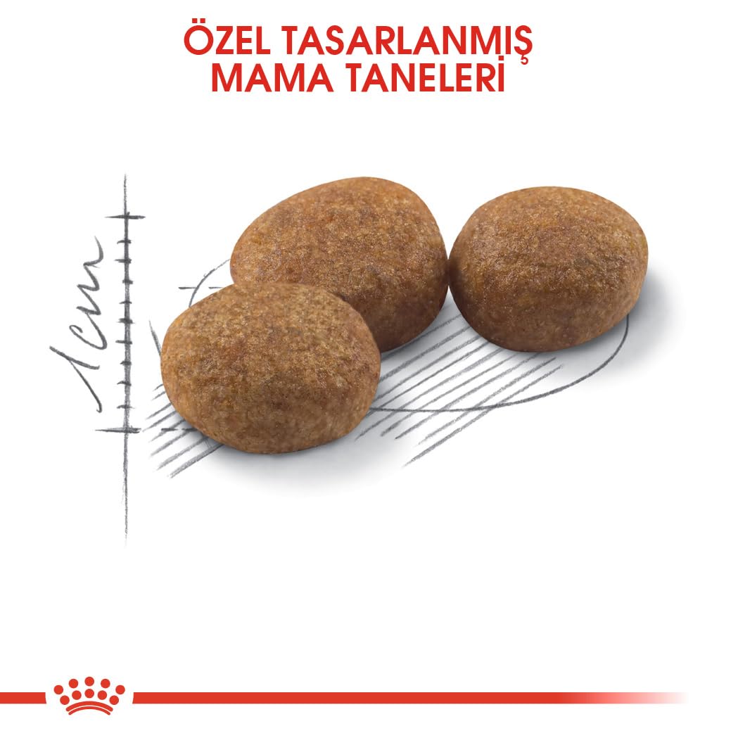 Royal-Canin Sterilised kg 4 - Alimento per Gatti sterilizzati