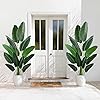 Product Photo 8