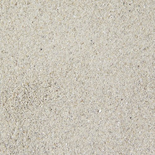 Spielsand Classic 25 kg - Qualitäts Quarzsand I gesiebt I frei von Schadstoffen I gewaschen I feine Körnung ISpielplatz I Sandkasten I Kindergeburtstag