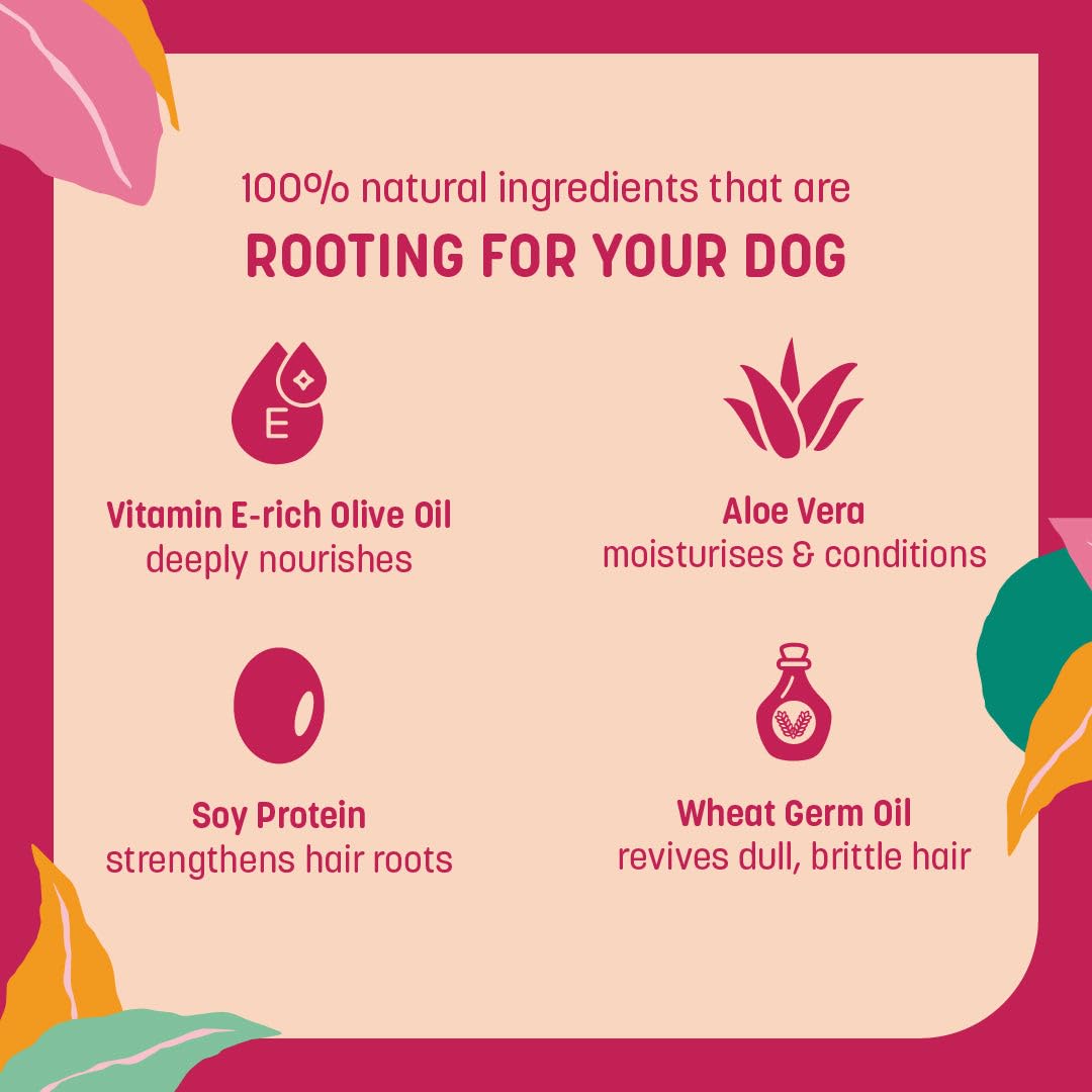 HUFT 4-in-1 Dog Shampoo & Conditioner (Over 12 Weeks) - Honeysuckle & Chamomile - 200ml | Pet Shampoo for Shih Tzu, Labrador & Golden Retriever | for All Breeds | Deep Cleansing & Moisturizing 1