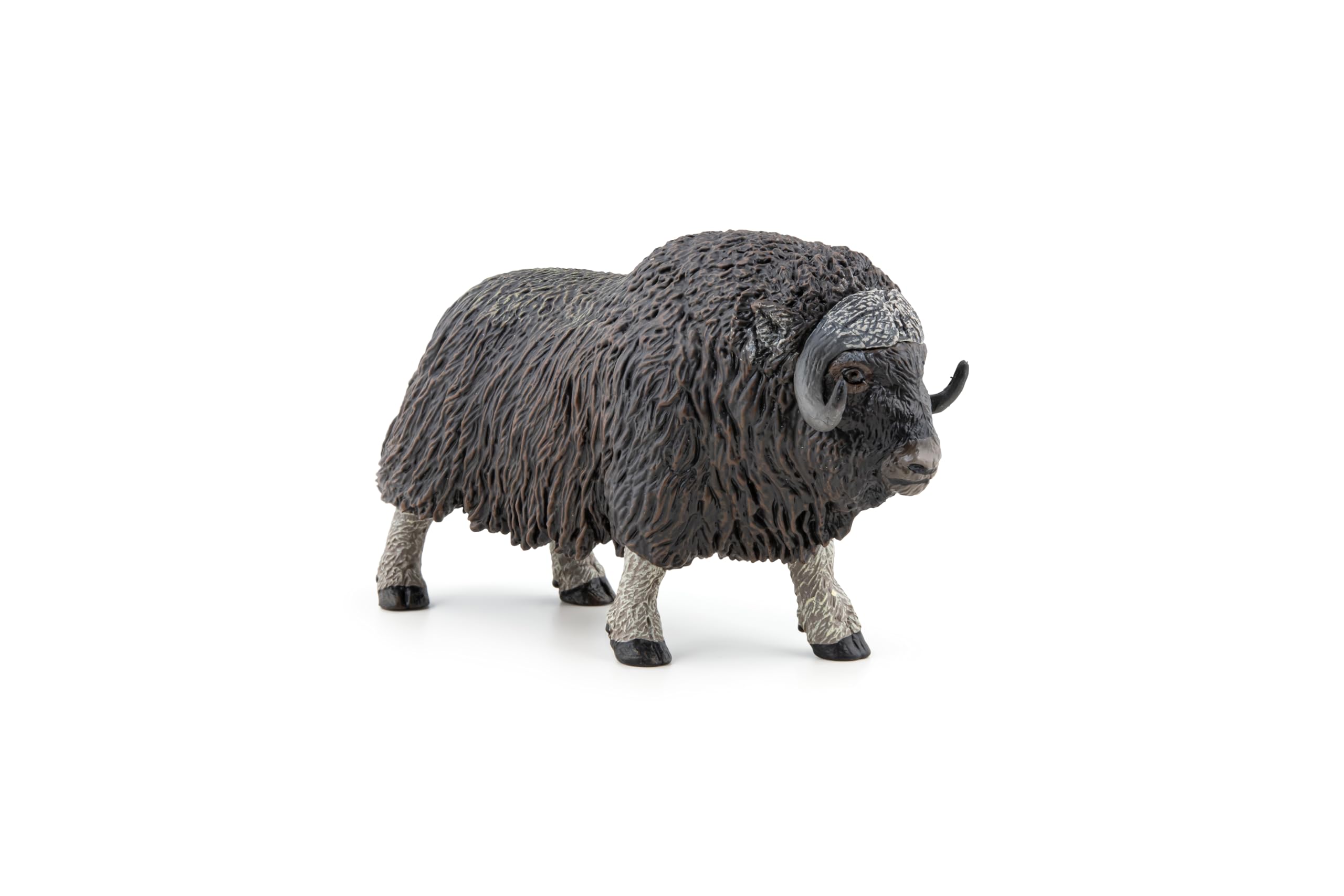 PAPO - Realistic Musk Ox Figure - Ages 3+ - Wild Life Collection - Educational Play Polar Animals - Gift Idea Toy for Girls and Boys - Image 4