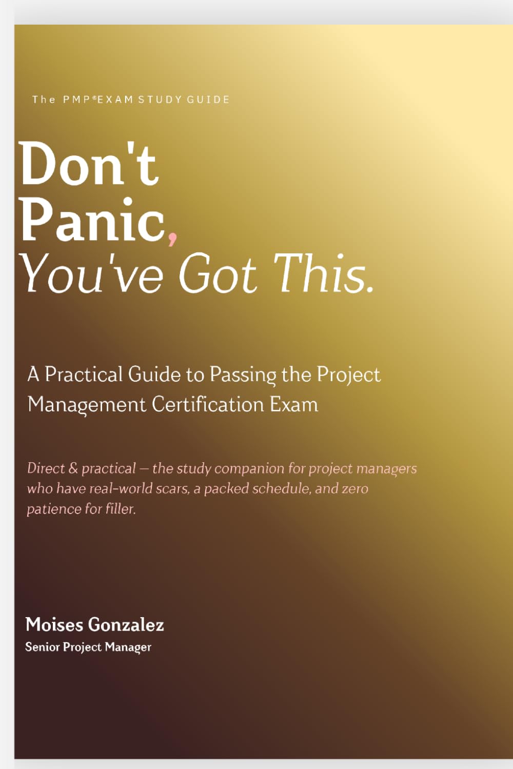 Don't Panic, You've Got This: A Practical Guide to Passing the Project Management Certification Exam