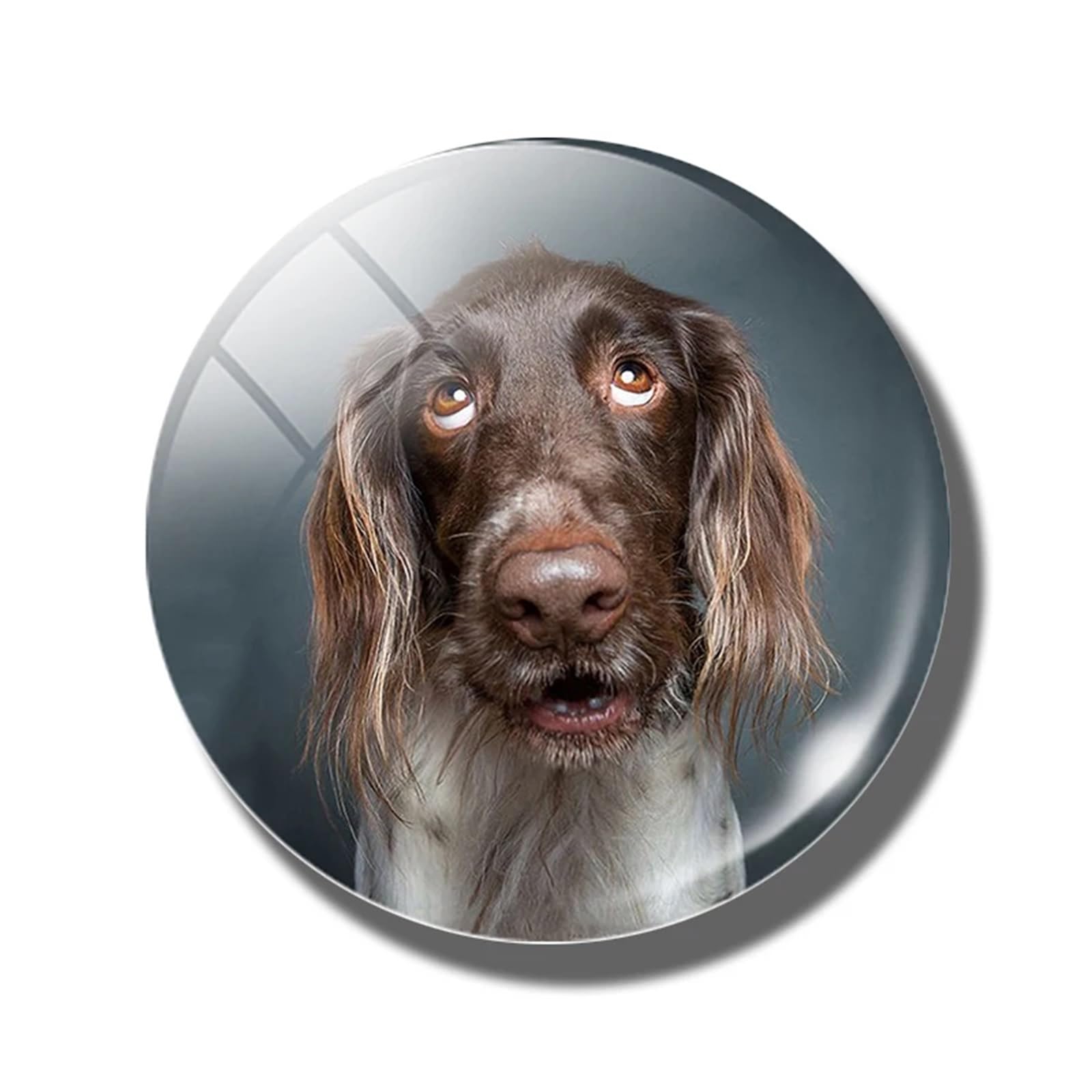 Fridge Magnets 6pcs 30 MM Fridge Magnet Lover Glass Dome Magnetic Refrigerator Stickers Note Holder Home Decoration(Color-03)