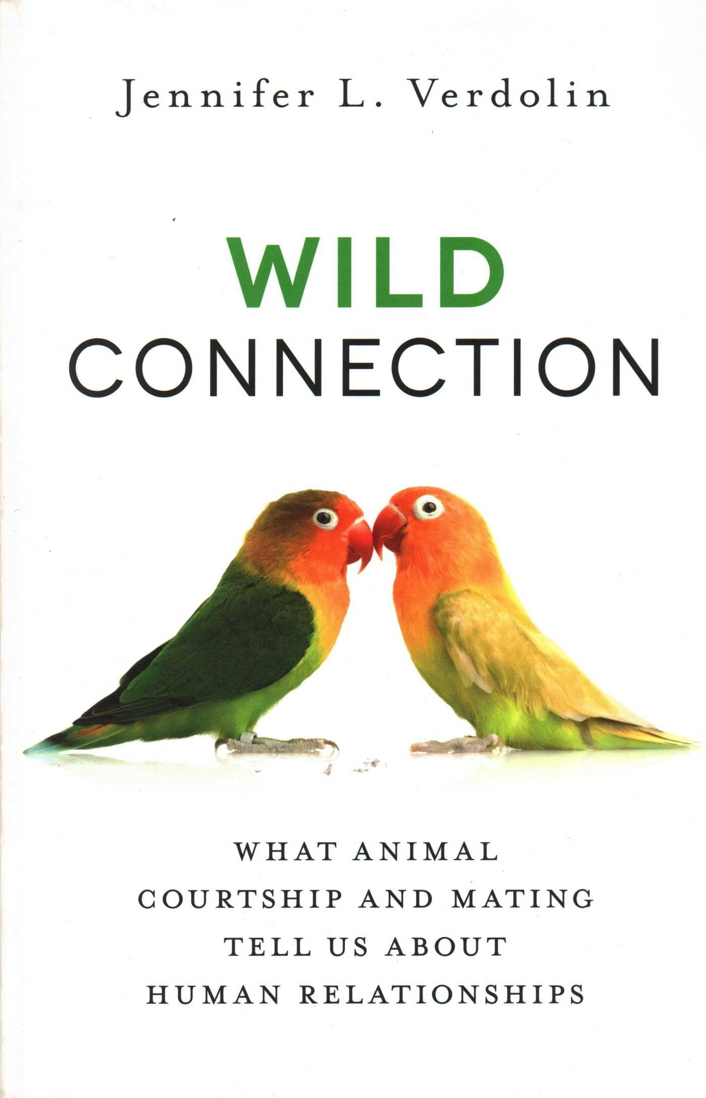 Wild Connection: What Animal Courtship and Mating Tell Us about