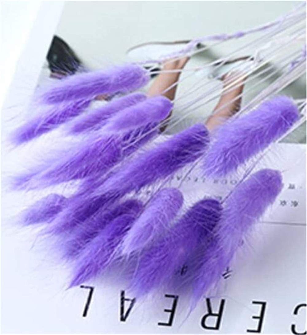 20 Rametti Erba Della Pampa Essiccati Naturali | Fiori Secchi Verde Chiaro | Per Decorazione Casa, Matrimoni, Giardino - Foto 8