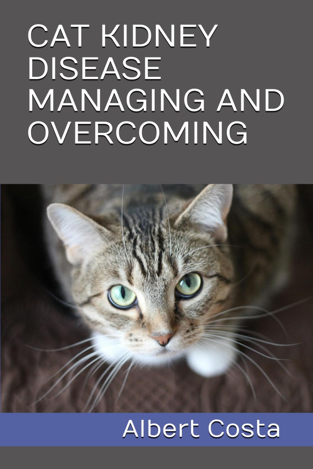 CAT KIDNEY DISEASE MANAGING AND OVERCOMING