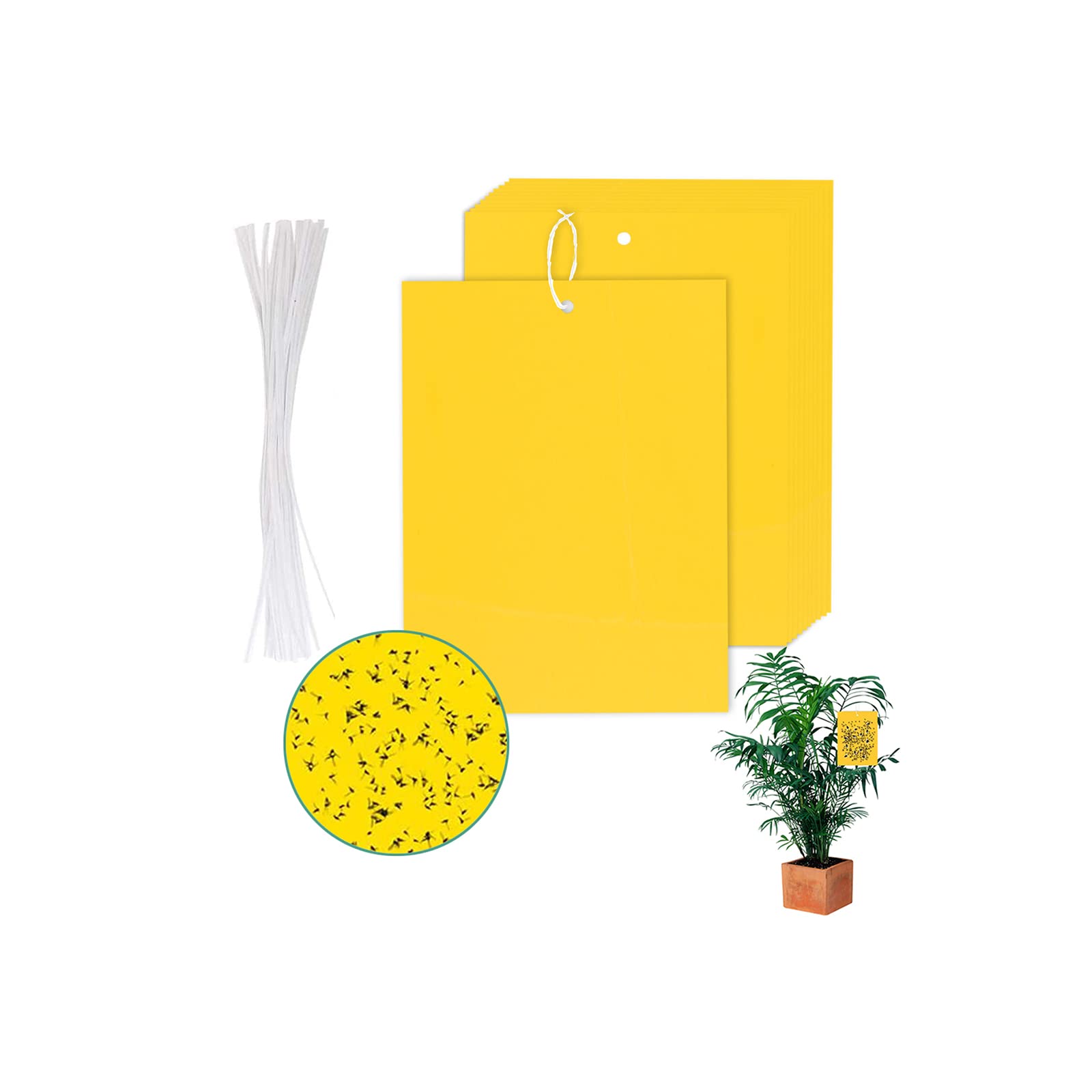 Yellow Sticky Fly Traps, Fly Paper Traps, Sticky Fly Paper Indoors, Fly Catchers Dual-Side for Insect Against Fungus Gnats, Whiteflies, Aphids, Leafminers, etc(10 pack)