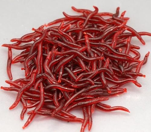 ソフトワーム ミミズ疑似餌 ソフトルアー釣り餌シリコン (50)