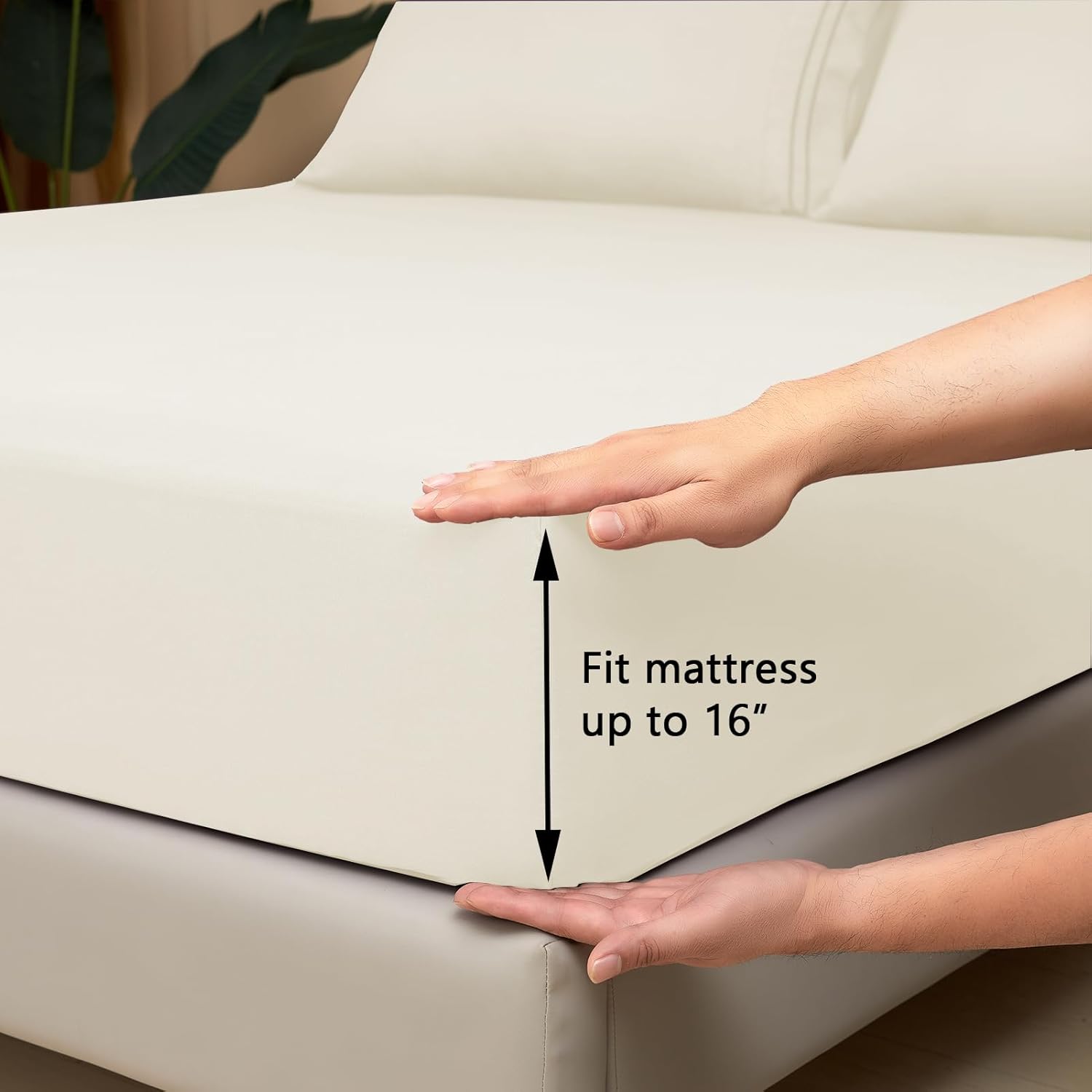 Mejoroom Twin XL Sheet Set - Hotel Luxury Microfiber Sheet & Pillowcase Sets Fits College Dorm Room Mattress - Soft, Breathable, Wrinkle & Fade Resistant - 3 Piece (Ivory)