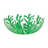 Alessi Mediterraneo ESI01/29GR - Fruttiera di Design in Acciaio Colorato con Resina Epossidica