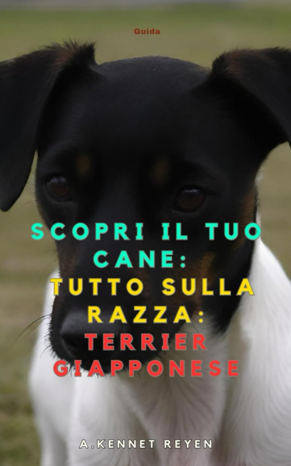 Scopri il tuo Cane: Tutto sulla razza: Terrier Giapponese