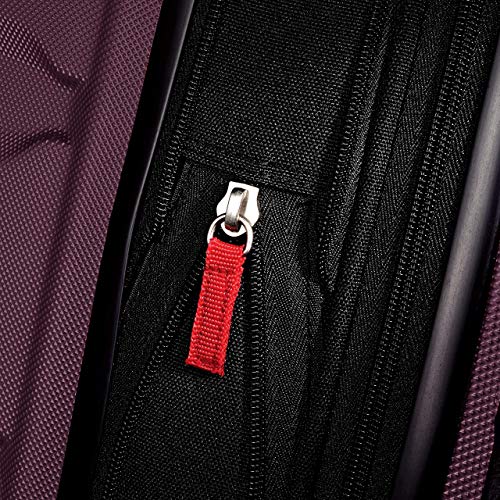 Samsonite Omni PC 20-Inch Expandable Carry-On Luggage, Purple
