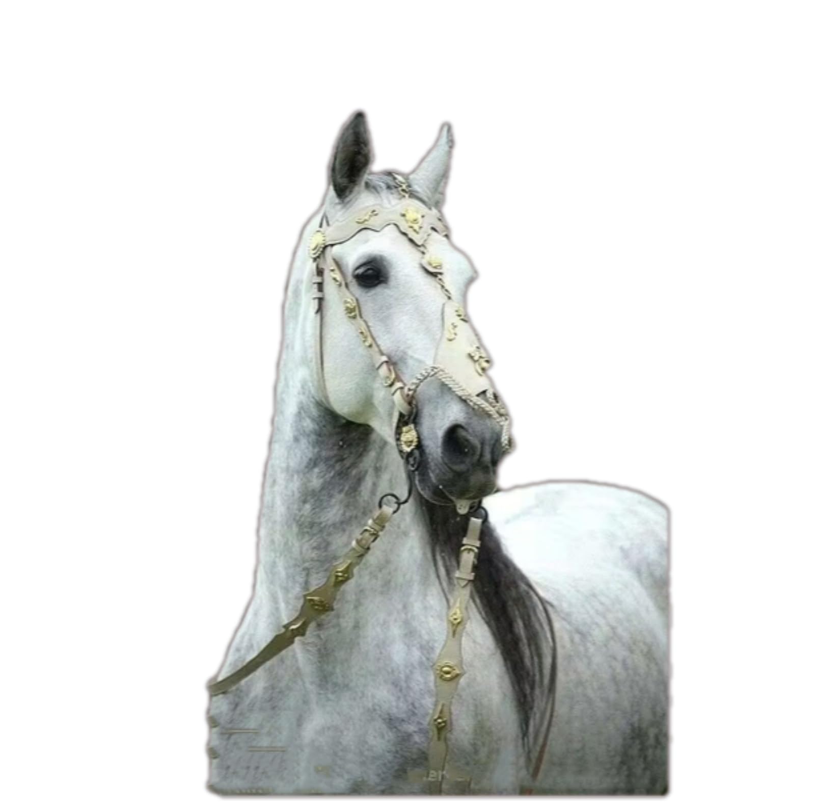 Riendas de Caballos de Cuero Retro, artículos ecuestres, Equipos de Caballos, Fundas de Jaula de Plomo de Cuero