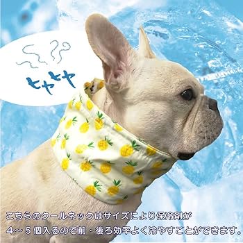 Amazon クールネック犬用 クールスヌード 熱中症対策 フレブル フレンチブルドッグ 涼しい 犬用 アクセサリー ひんやり快適 お散歩 6色 6カラー Km500g Mサイズ C柄 24hours ベーシック首輪 通販