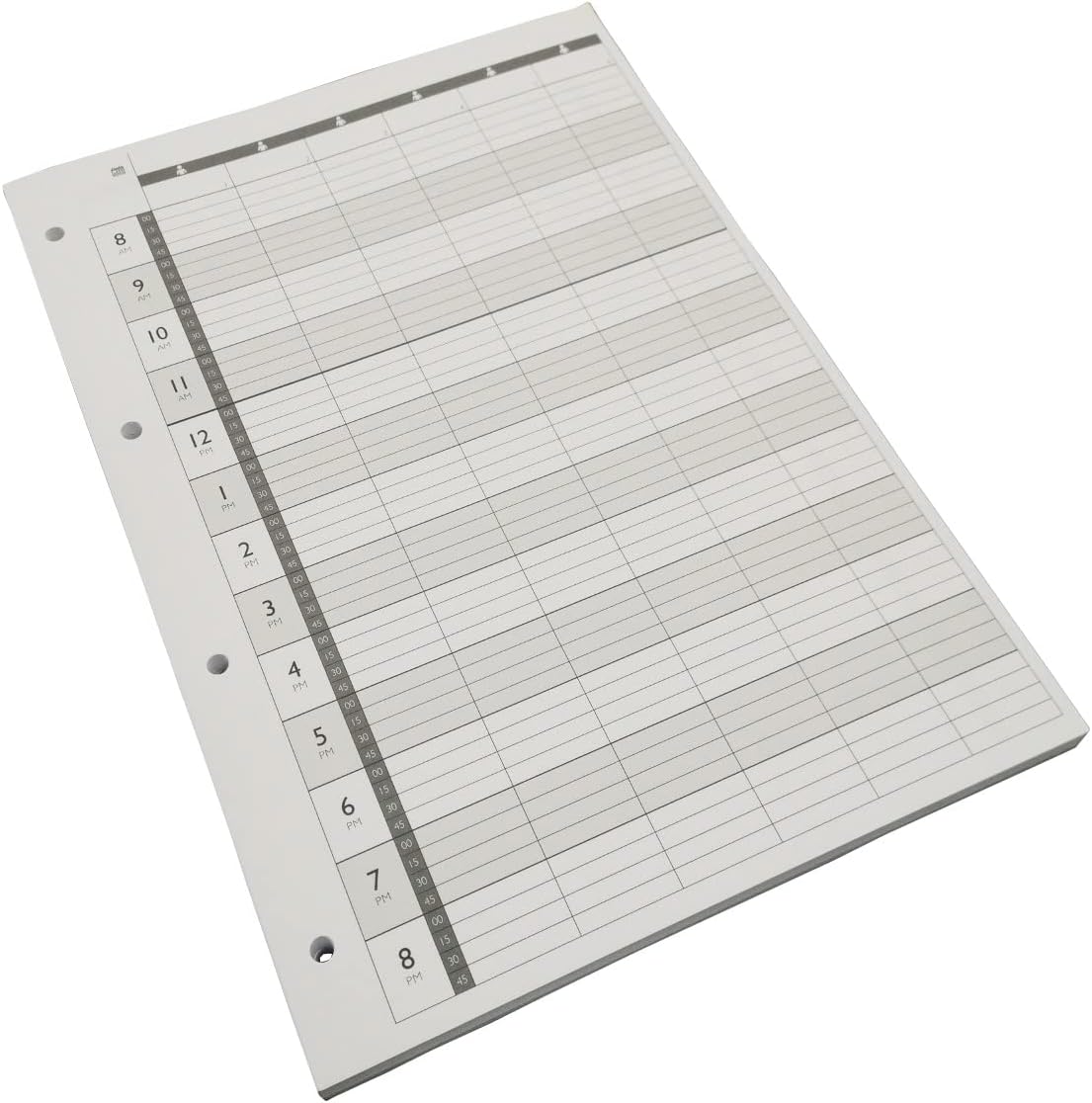 Agenda Loose Leaf Appointment Pages 6 Column Amazon.co.uk Beauty