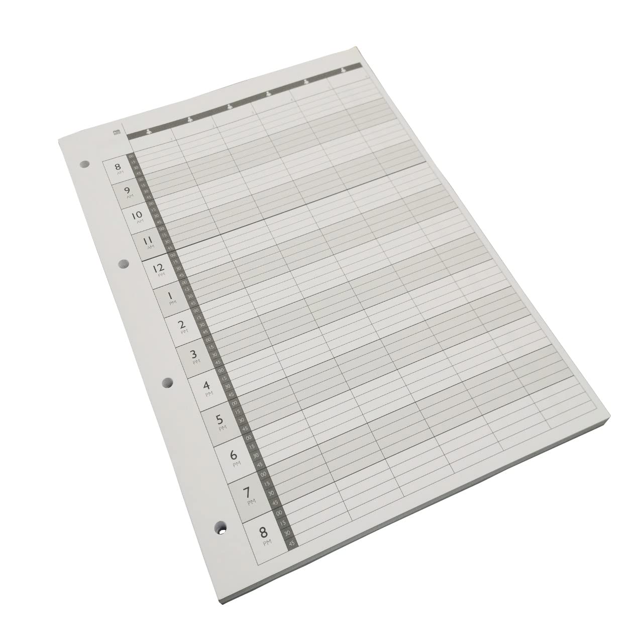Agenda Loose Leaf Appointment Refill Pages 6 Column 4 Hole LL6 (100)