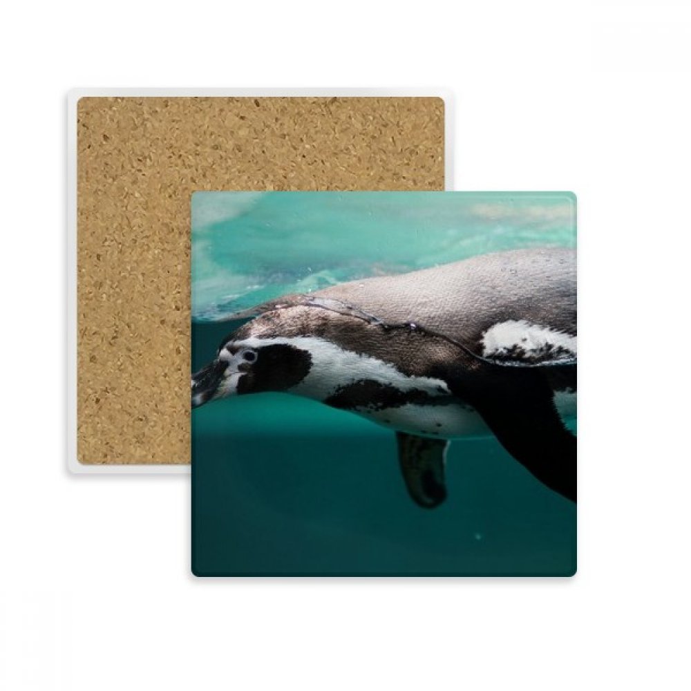 Porte absorbent pierre décoratif au motif de pingouin pour une protection de table élégante