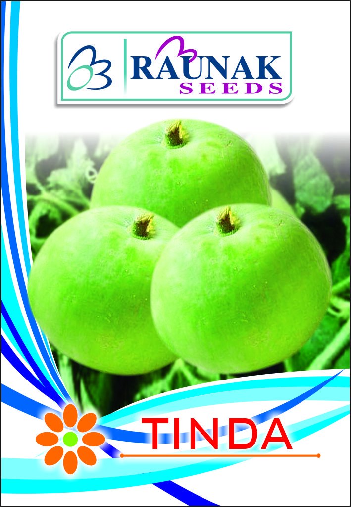 Indica TINDA Punjab DESI 20 Seeds X 4 Packets OP Quality (RAUNAK Seeds Brand) Sold by SUPER AGRI GREEN (B01EIKKKD4) Amazon Price History, Amazon Price Tracker