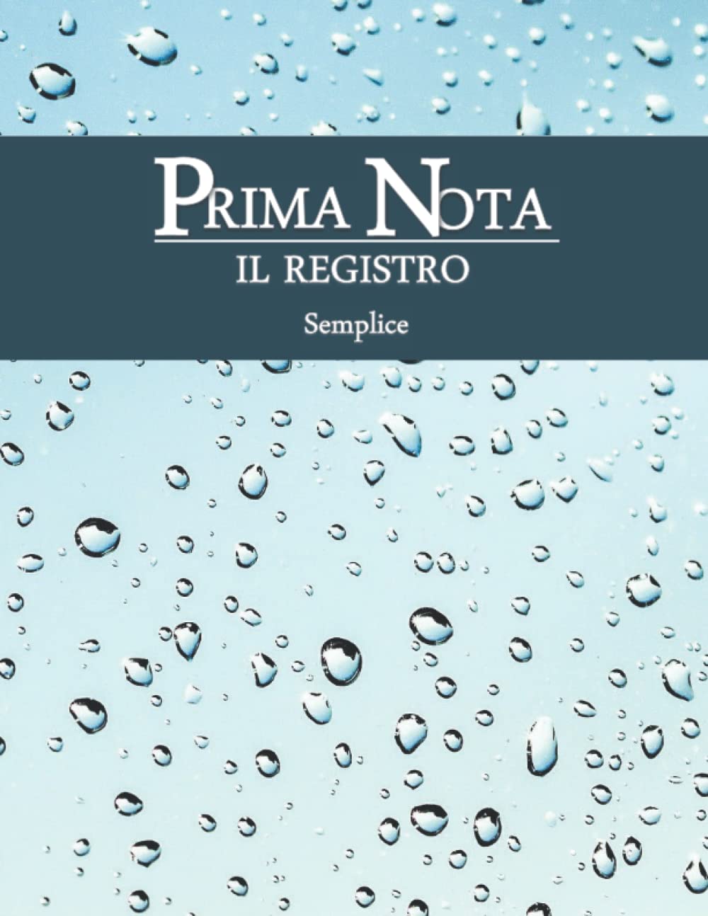 Prima Nota – Il registro: 100 pagine con colonne Cassa e IVA + Scheda saldi mese, trimestre, quadrimestre. Subtotali per pagina e riporto saldi | ... cassa agenda dei conti Cop6 (Italian Edition)