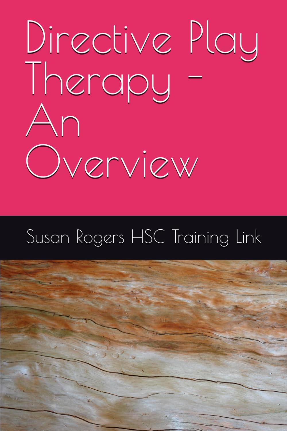 Directive Play Therapy - An Overview (Health and Social Care Training Resources)