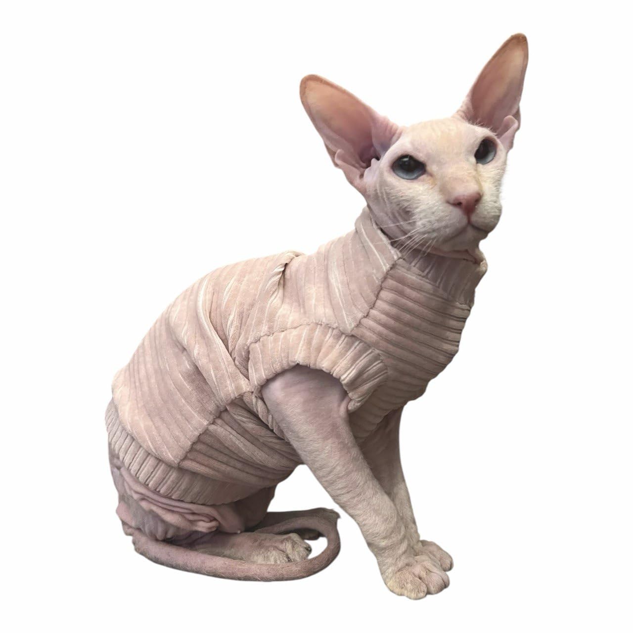 Tee-shirt chat Sphynx velours côtelé XS nude pour envelopper votre félin d'amour