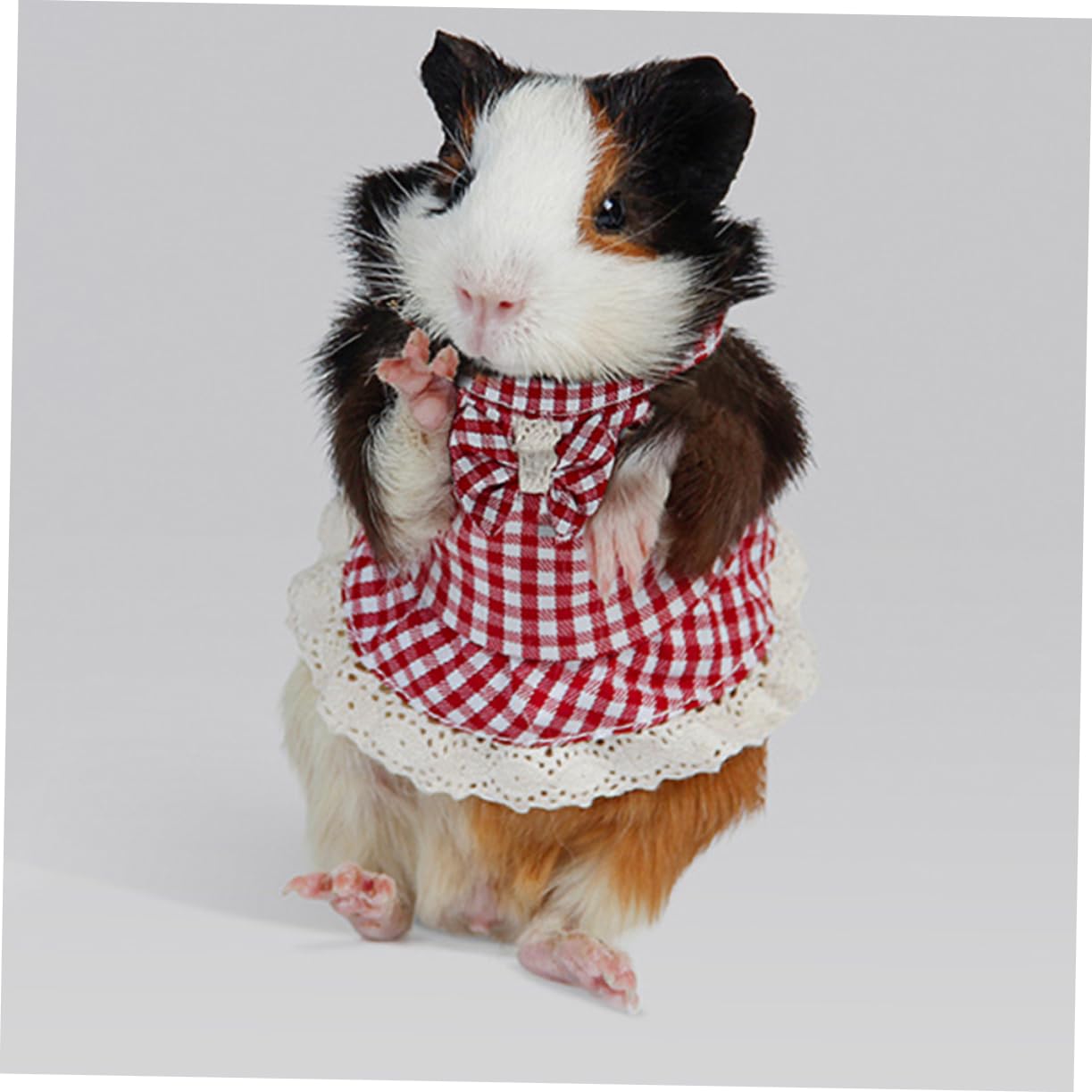 Kisangel 3 Pièces Petit Harnais pour Animaux De Compagnie Harnais De Lapin De Lapin Corde De Traction Corde De Remorquage Weasypet Kit Ceinture De Laisse De