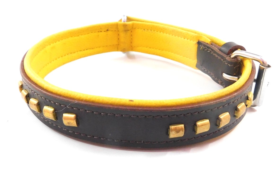 Skora for All Dog Breed Collar with Canvas with Sturdy Solid Brass Buckle. Hand Made |Color-Brown and Yellow | Size - Standard Suitable for Neck with Metalic Beautiful Design On Collar (B0779G24TH) Amazon Price History, Amazon Price Tracker