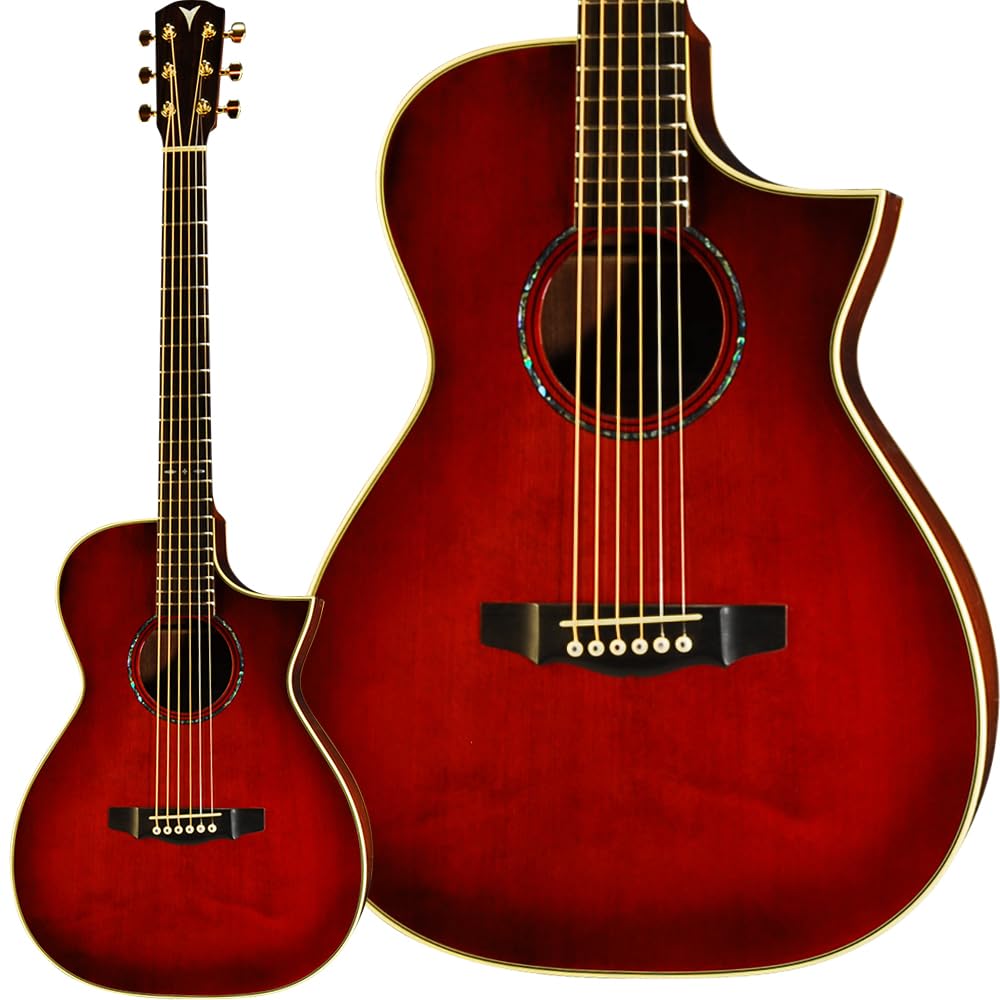 アコースティックギター ショートスケールギター Syairi ケース付