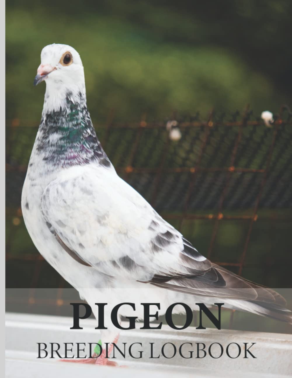 Buy Pigeon Breeding Logbook Pigeon Record Book for Pigeon Bird Breeders, Pigeon Breeding