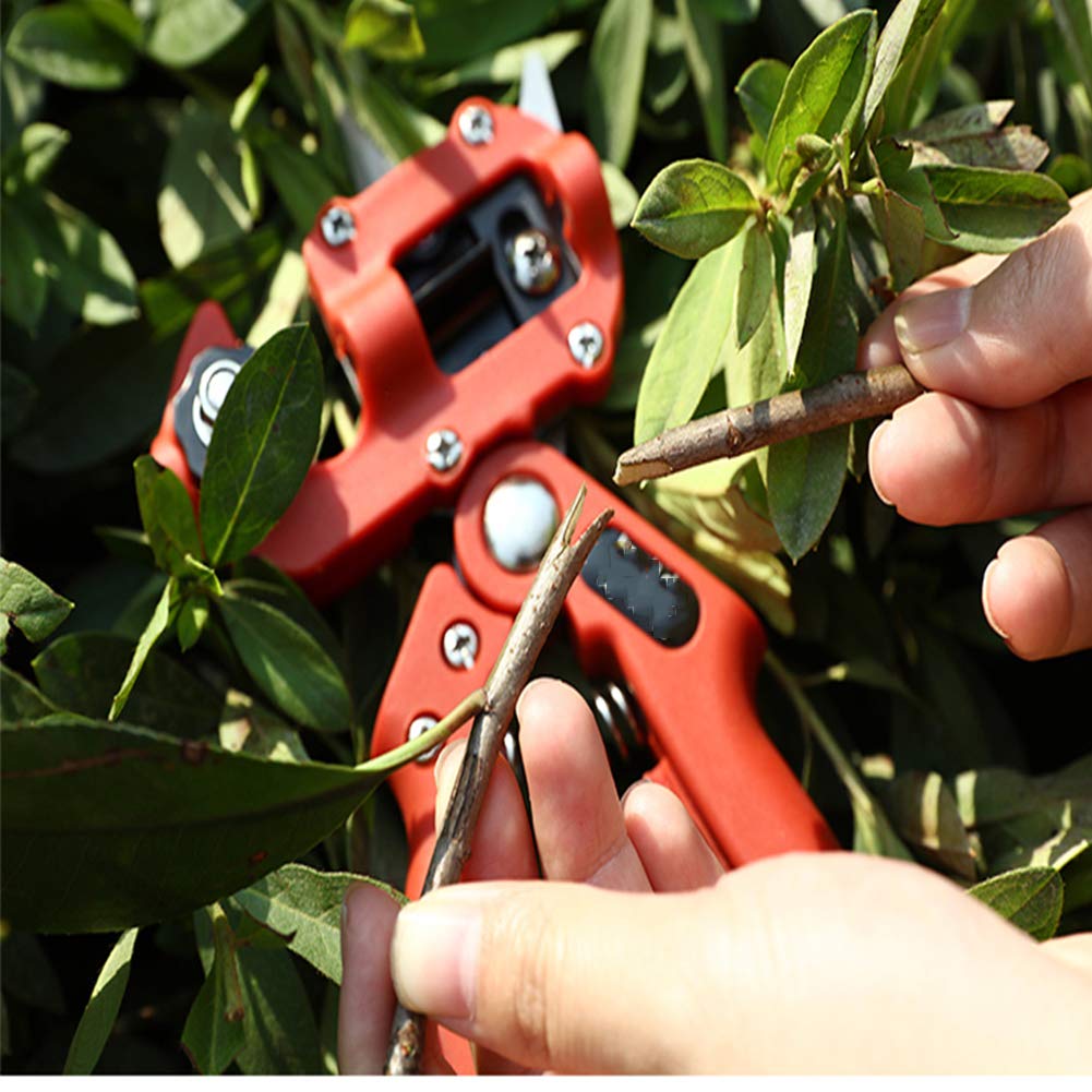 Kit di Utensili da Taglio per Potatura Professionale per Innesto da Giardino con Custodia, Acciaio SK5, Diametro di Taglio 23 (Mm) per Pianta da Giardino