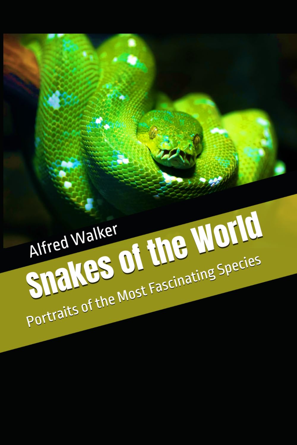Snakes of the World: Portraits of the Most Fascinating Species