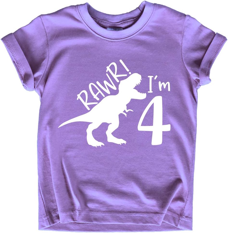 rawr im 4 Year Old Girl Birthday Shirt Dinosaur Roar Four 4th Toddler Outfit Fourth