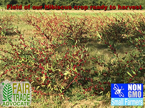 Sorrel Hibiscus Flowers (2 x 3Oz.) Herbal Tea Whole Petal 6 Oz - 100% Natural Dried Raw - Non GMO - Vegan - USFDA Inspected - Makes Refreshing Iced Tea Or Hot Tea - Thumbnail 4