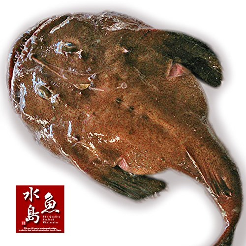 Amazon.co.jp: 魚水島 新潟・佐渡産 天然 あんこう アンコウ 一匹丸