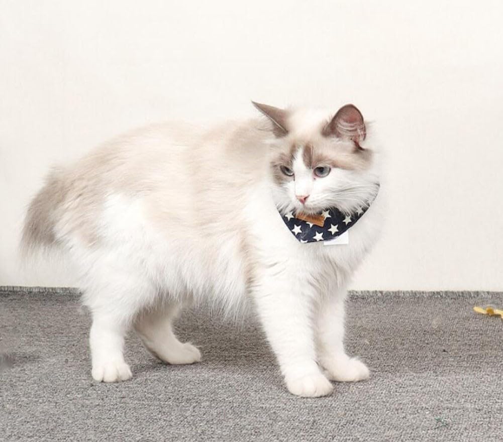 Bandana di Gatto con Motivo di Stelle Sciarpa Triangolare del Cucciolo Collare Regolabile Bavaglino per Cani di Piccola e Gatti