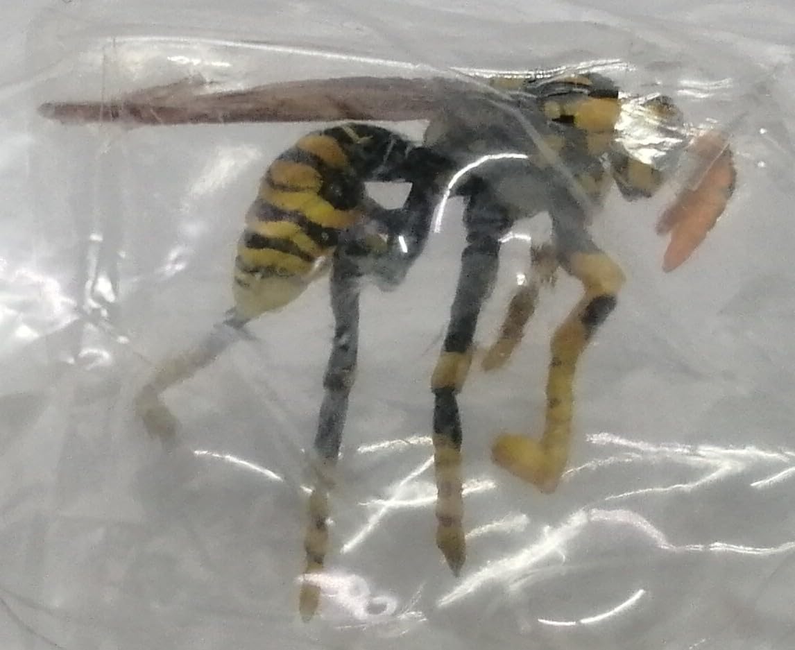 Amazon | キアシナガバチ 原色図鑑 原色日本昆虫図鑑II 蜂 ハチ