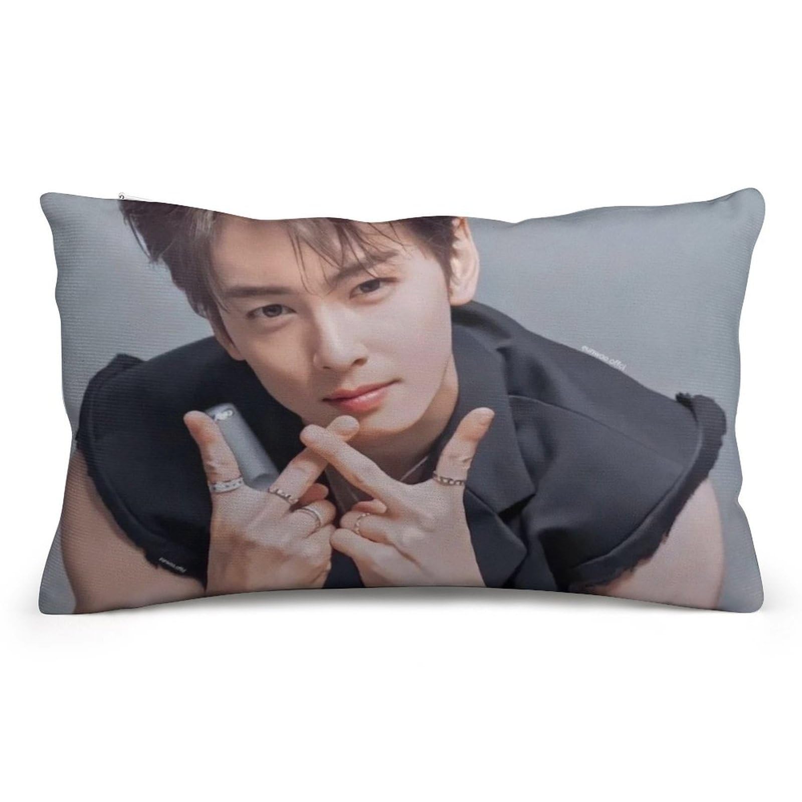 2点ねこ様チャウヌ枕カバー44番ASTRO 60×40