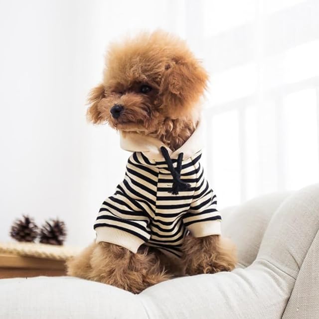 Foto 2 de 6 de Wiz BBQT Ropa a Juego para Perros y dueños: Sudadera con Capucha para mamá y papá, se Vende por Separado