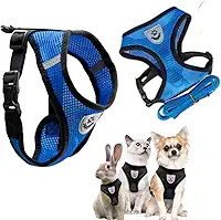 Coleira peitoral para cachorro e gatos colete refletivo com guia pets pequenos coelhos (Peitoral Azul - P)
