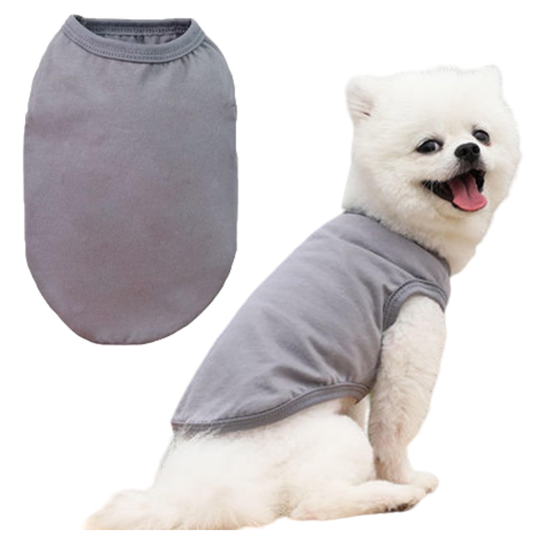 犬服 SS わんこの普段着くまの散歩