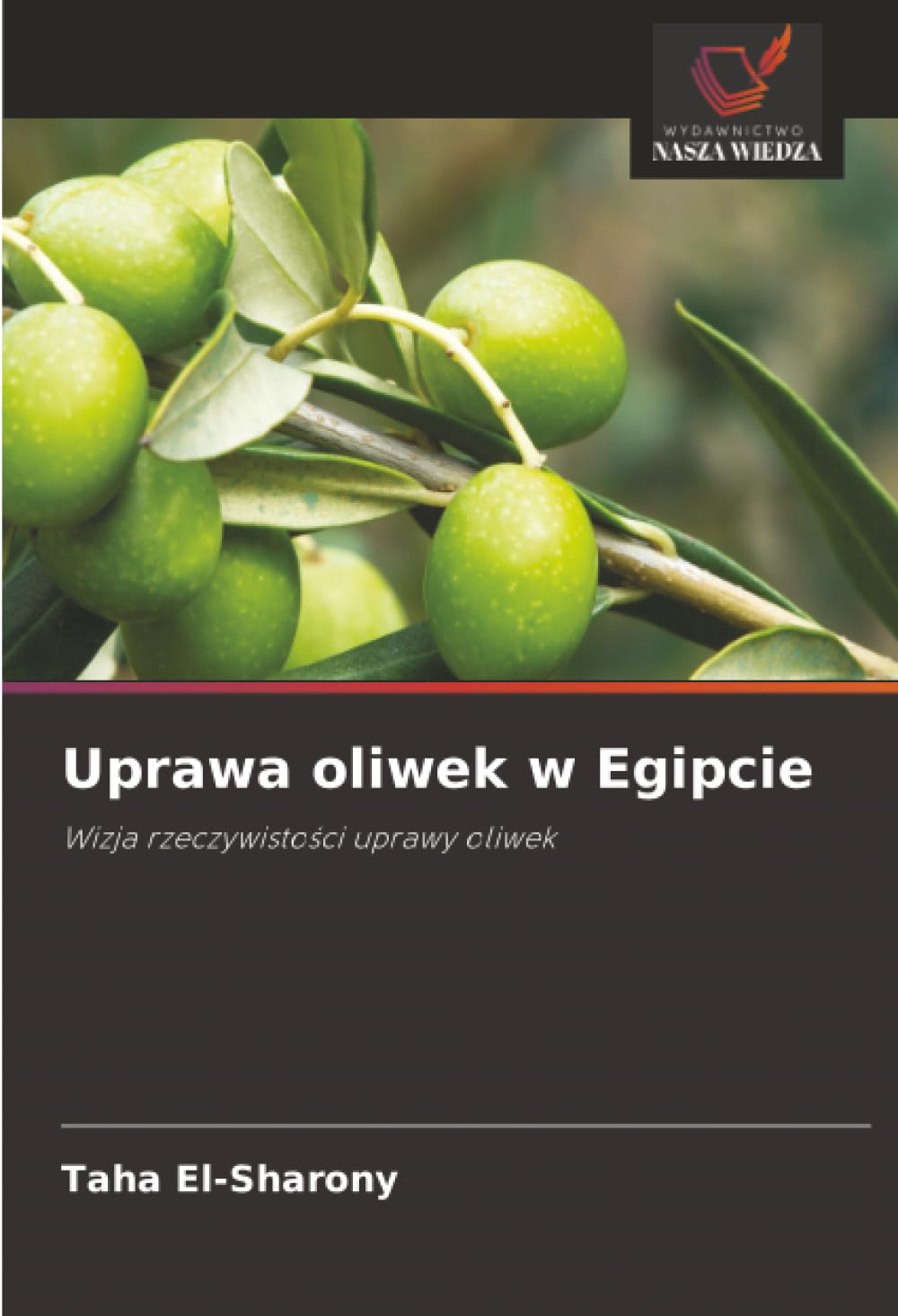 Uprawa oliwek w Egipcie: Wizja rzeczywistości uprawy oliwek