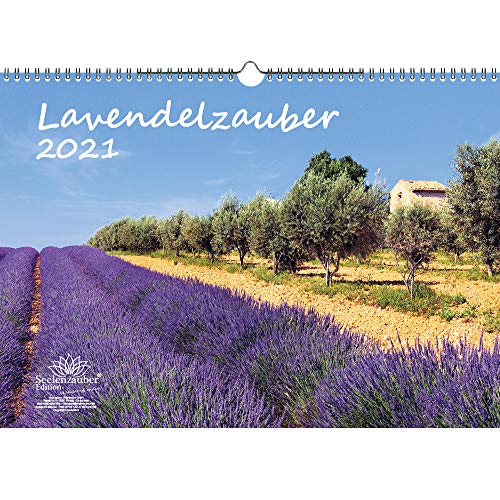 Télécharger Calendrier 2021 Lavande Magique DIN A3 - Coffret cadeau - Contenu : 1 calendrier, 1 carte de Noël e livre En ligne