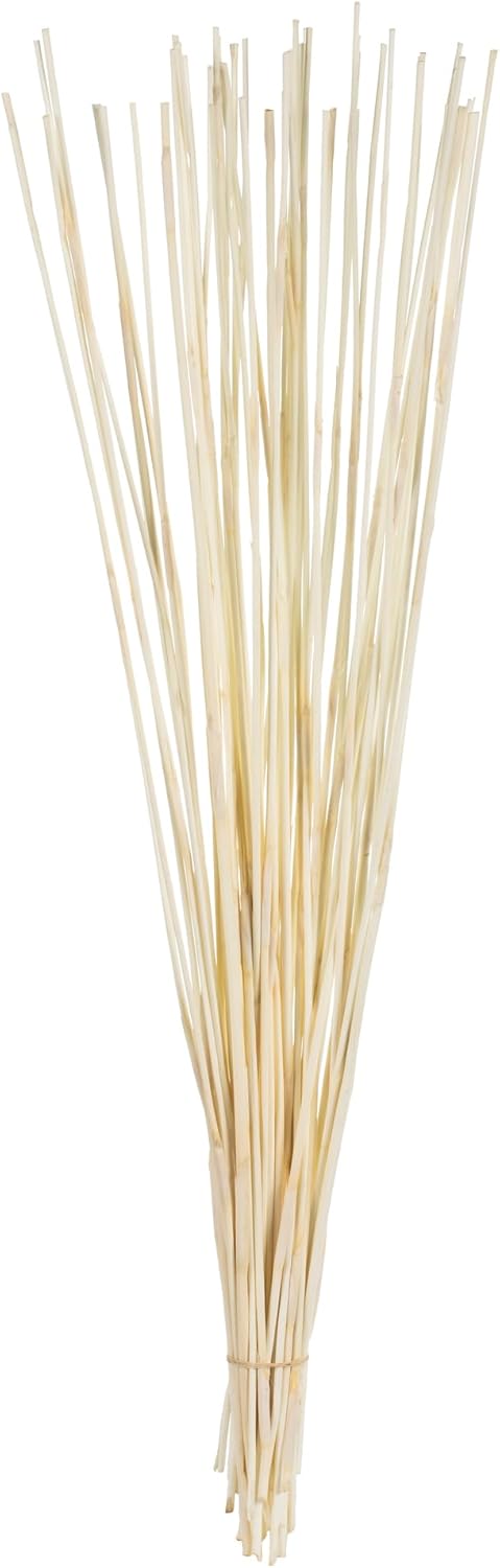 Vickerman 40” Bleached Elephant Reed, 10 oz Bundle, Dried