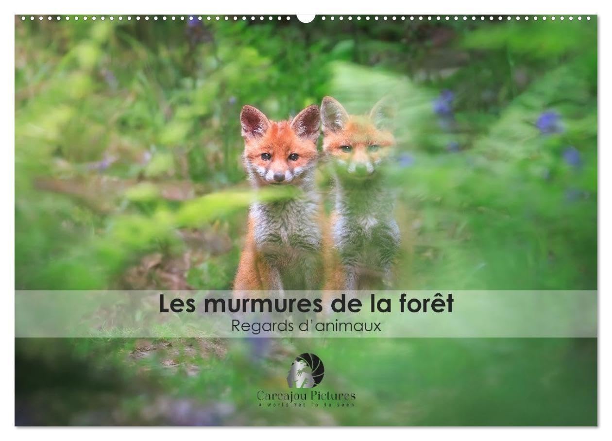 Les murmures de la forêt - Regards d'animaux (Calendrier mural 2027 DIN A2 vertical), CALVENDO calendrier mensuel: Un calendrier fascinant qui révèle, ... saisis dans l'intimité de leurs regards.