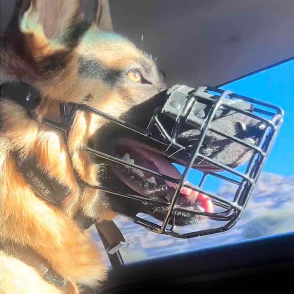 Muselière en métal pour chien idéale pour promenades de Labrador et Rottweiler